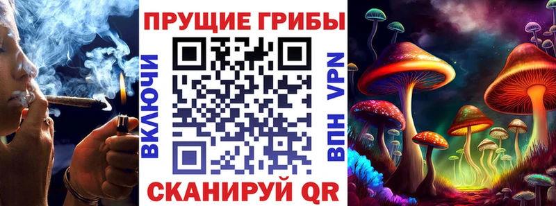 Псилоцибиновые грибы Cubensis  Белая Холуница 