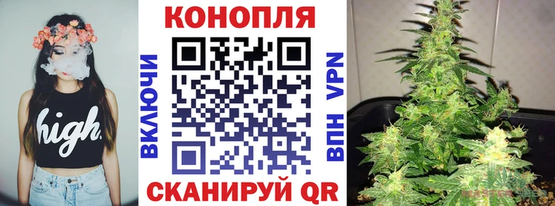 цена наркотик  Белая Холуница  Каннабис тримм 